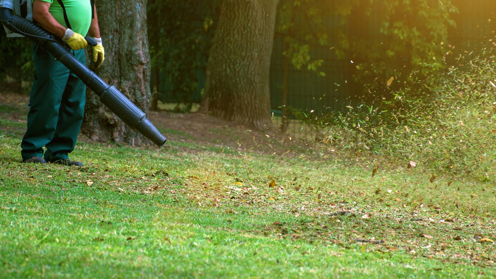 lihue-leaf-blowing