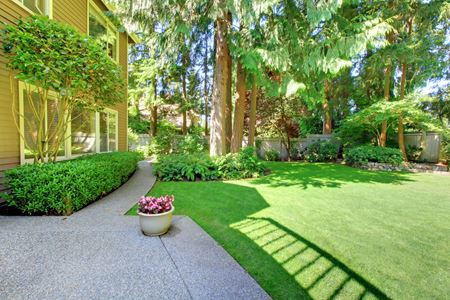 Unlocking the Benefits of Professional Lawn Care Services