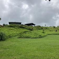 Lawnzilla-Landscaping-LLC-Delivers-Expert-Hillside-Hedging-Clearance-and-Property-Cleanup-in-Wailua-Homesteads 4