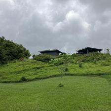 Lawnzilla-Landscaping-LLC-Delivers-Expert-Hillside-Hedging-Clearance-and-Property-Cleanup-in-Wailua-Homesteads 3