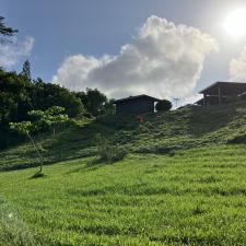 Lawnzilla-Landscaping-LLC-Delivers-Expert-Hillside-Hedging-Clearance-and-Property-Cleanup-in-Wailua-Homesteads 2