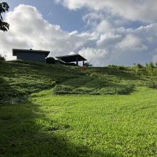 Lawnzilla-Landscaping-LLC-Delivers-Expert-Hillside-Hedging-Clearance-and-Property-Cleanup-in-Wailua-Homesteads 5