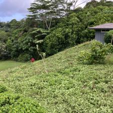 Lawnzilla-Landscaping-LLC-Delivers-Expert-Hillside-Hedging-Clearance-and-Property-Cleanup-in-Wailua-Homesteads 0