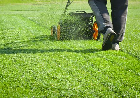 Lawn Mowing